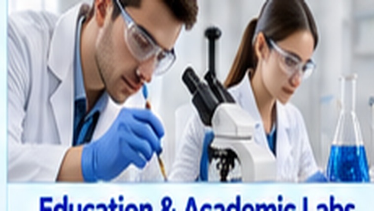 Scientists working in an academic laboratory