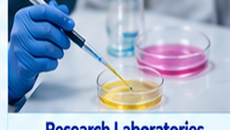 Researcher performing laboratory work